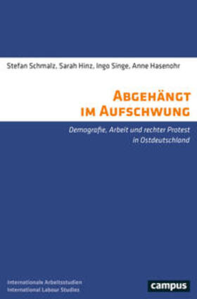 Schmalz / Hinz / Singe |  Schmalz, S: Abgehängt im Aufschwung | Buch |  Sack Fachmedien