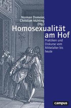 Domeier / Mühling | Homosexualität am Hof | Buch | 978-3-593-51076-7 | sack.de