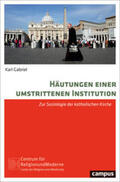 Gabriel |  Häutungen einer umstrittenen Institution | Buch |  Sack Fachmedien