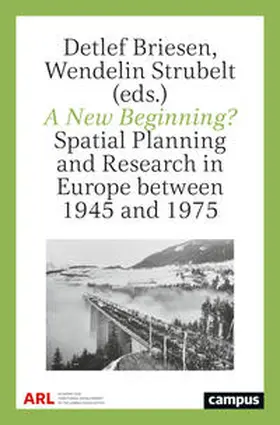 Briesen / Strubelt / Ache | A New Beginning? | Buch | 978-3-593-51509-0 | sack.de