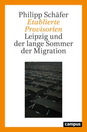 Schäfer |  Etablierte Provisorien | Buch |  Sack Fachmedien