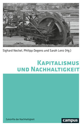 Neckel / Degens / Lenz | Kapitalismus und Nachhaltigkeit | Buch | 978-3-593-51577-9 | sack.de