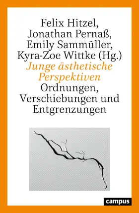Hitzel / Pernaß / Sammüller |  Junge ästhetische Perspektiven | Buch |  Sack Fachmedien