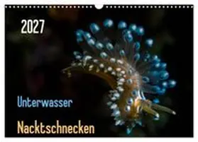 CALVENDO / Weber-Gebert |  Unterwasser - Nacktschnecken 2027 (Wandkalender 2027 DIN A3 quer), CALVENDO Monatskalender | Sonstiges |  Sack Fachmedien