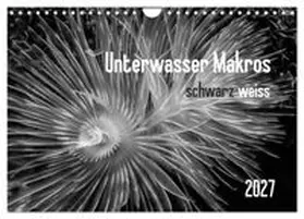 CALVENDO / Weber-Gebert |  Unterwasser Makros - schwarz weiss 2027 (Wandkalender 2027 DIN A4 quer), CALVENDO Monatskalender | Sonstiges |  Sack Fachmedien