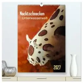 CALVENDO / Weber-Gebert |  Nacktschnecken - Unterwasserwelt 2027 (hochwertiger Premium Wandkalender 2027 DIN A2 hoch), Kunstdruck in Hochglanz | Sonstiges |  Sack Fachmedien