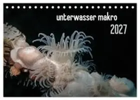 CALVENDO / Weber-Gebert |  unterwasser makro 2027 (Tischkalender 2027 DIN A5 quer), CALVENDO Monatskalender | Sonstiges |  Sack Fachmedien
