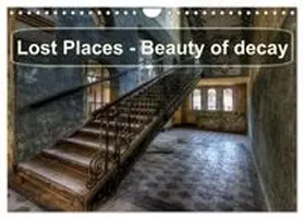 CALVENDO / Buchspies |  Lost Places - Beauty of decay (Wall Calendar 2027 DIN A4 landscape), CALVENDO 12 Month Wall Calendar | Sonstiges |  Sack Fachmedien