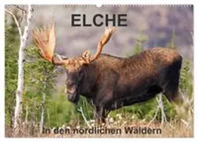 CALVENDO / Henry |  ELCHE In den nördlichen Wäldern (Wandkalender 2027 DIN A2 quer), CALVENDO Monatskalender | Sonstiges |  Sack Fachmedien