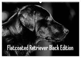 CALVENDO / Müller | Flatcoated Retriever Black Edition (Wandkalender 2027 DIN A2 quer), CALVENDO Monatskalender | Sonstiges | 978-3-594-02390-7 | www.sack.de