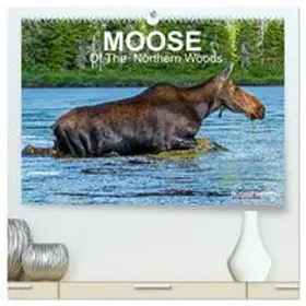 CALVENDO / Henry |  MOOSE Of The Northern Woods (High Quality Premium Wall Calendar 2027 DIN A2 landscape),CALVENDO 12 Month Wall Calendar | Sonstiges |  Sack Fachmedien