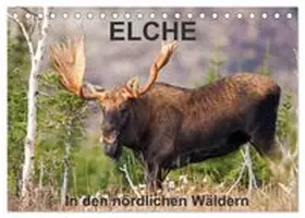 CALVENDO / Henry |  ELCHE In den nördlichen Wäldern (Tischkalender 2027 DIN A5 quer), CALVENDO Monatskalender | Sonstiges |  Sack Fachmedien