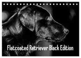 CALVENDO / Müller | Flatcoated Retriever Black Edition (Tischkalender 2027 DIN A5 quer), CALVENDO Monatskalender | Sonstiges | 978-3-594-02656-4 | www.sack.de