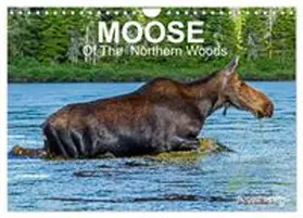 CALVENDO / Henry |  MOOSE Of The Northern Woods (Wall Calendar 2027 DIN A4 landscape), CALVENDO 12 Month Wall Calendar | Sonstiges |  Sack Fachmedien