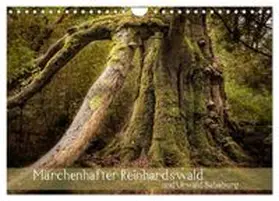 CALVENDO / Pohl |  Märchenhafter Reinhardswald und Urwald Sababurg (Wandkalender 2027 DIN A4 quer), CALVENDO Monatskalender | Sonstiges |  Sack Fachmedien