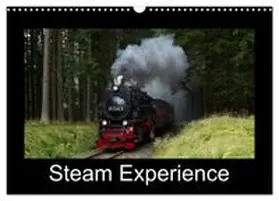 CALVENDO / Maurer |  Steam Experience (Wall Calendar 2027 DIN A3 landscape), CALVENDO 12 Month Wall Calendar | Sonstiges |  Sack Fachmedien