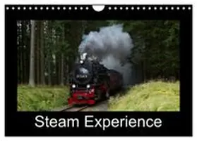 CALVENDO / Maurer |  Steam Experience (Wall Calendar 2027 DIN A4 landscape), CALVENDO 12 Month Wall Calendar | Sonstiges |  Sack Fachmedien
