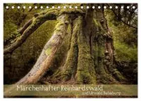 CALVENDO / Pohl |  Märchenhafter Reinhardswald und Urwald Sababurg (Tischkalender 2027 DIN A5 quer), CALVENDO Monatskalender | Sonstiges |  Sack Fachmedien