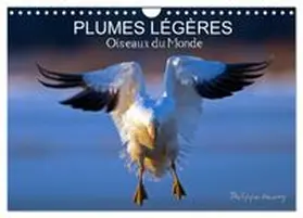 CALVENDO / Henry | PLUMES LÉGÈRES. Oiseaux du Monde (Calendrier mural 2027 DIN A4 vertical), CALVENDO calendrier mensuel | Sonstiges | 978-3-594-04941-9 | www.sack.de