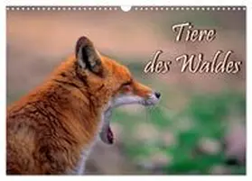 CALVENDO / Geduldig |  Tiere des Waldes (Wandkalender 2027 DIN A3 quer), CALVENDO Monatskalender | Sonstiges |  Sack Fachmedien