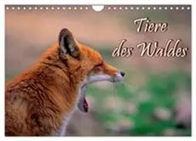 CALVENDO / Geduldig |  Tiere des Waldes (Wandkalender 2027 DIN A4 quer), CALVENDO Monatskalender | Sonstiges |  Sack Fachmedien