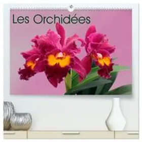 CALVENDO / MonarchC |  Les Orchidées (Calendrier mural haut de gamme 2027 DIN A2 vertical), CALVENDO calendrier mensuel | Sonstiges |  Sack Fachmedien