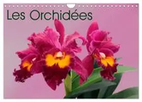 CALVENDO / MonarchC |  Les Orchidées (Calendrier mural 2027 DIN A4 vertical), CALVENDO calendrier mensuel | Sonstiges |  Sack Fachmedien