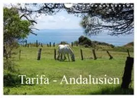 CALVENDO / Peitz |  Tarifa - Andalusien (Wandkalender 2027 DIN A4 quer), CALVENDO Monatskalender | Sonstiges |  Sack Fachmedien