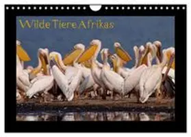 CALVENDO / Depner |  Wilde Tiere Afrikas (Wandkalender 2027 DIN A4 quer), CALVENDO Monatskalender | Sonstiges |  Sack Fachmedien