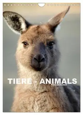 CALVENDO / Schickert |  Tiere - Animals (Wandkalender 2027 DIN A4 hoch), CALVENDO Monatskalender | Sonstiges |  Sack Fachmedien