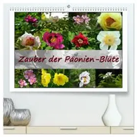 CALVENDO / Reiter |  Zauber der Päonien-Blüte (hochwertiger Premium Wandkalender 2027 DIN A2 quer), Kunstdruck in Hochglanz | Sonstiges |  Sack Fachmedien