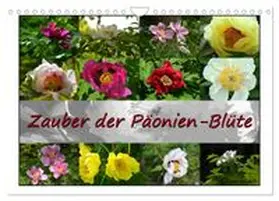 CALVENDO / Reiter |  Zauber der Päonien-Blüte (Wandkalender 2027 DIN A4 quer), CALVENDO Monatskalender | Sonstiges |  Sack Fachmedien
