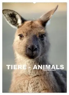 CALVENDO / Schickert |  Tiere - Animals (Wandkalender 2027 DIN A2 hoch), CALVENDO Monatskalender | Sonstiges |  Sack Fachmedien