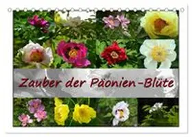 CALVENDO / Reiter |  Zauber der Päonien-Blüte (Tischkalender 2027 DIN A5 quer), CALVENDO Monatskalender | Sonstiges |  Sack Fachmedien