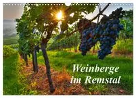 CALVENDO / Schmidt |  Weinberge im Remstal (Wandkalender 2027 DIN A3 quer), CALVENDO Monatskalender | Sonstiges |  Sack Fachmedien