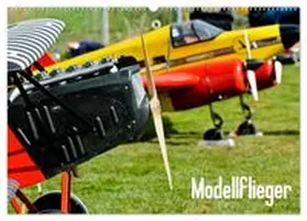 CALVENDO / Selig | Modellflieger / CH-Version (Wandkalender 2027 DIN A2 quer), CALVENDO Monatskalender | Sonstiges | 978-3-594-14680-4 | www.sack.de