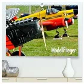 CALVENDO / Selig | Modellflieger / CH-Version (hochwertiger Premium Wandkalender 2027 DIN A2 quer), Kunstdruck in Hochglanz | Sonstiges | 978-3-594-14723-8 | www.sack.de