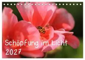 CALVENDO / Hildebrand |  Schöpfung im Licht (Tischkalender 2027 DIN A5 quer), CALVENDO Monatskalender | Sonstiges |  Sack Fachmedien