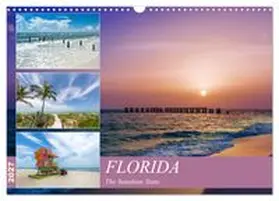 CALVENDO / Viola |  FLORIDA The Sunshine State (Wall Calendar 2027 DIN A3 landscape), CALVENDO 12 Month Wall Calendar | Sonstiges |  Sack Fachmedien