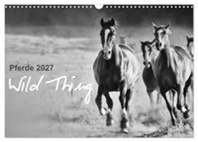 CALVENDO / Peters |  Pferde 2027 Wild Thing (Wandkalender 2027 DIN A3 quer), CALVENDO Monatskalender | Sonstiges |  Sack Fachmedien