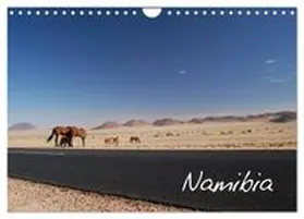 CALVENDO / Herzog | Namibia (Wandkalender 2027 DIN A4 quer), CALVENDO Monatskalender | Sonstiges | 978-3-594-20098-8 | www.sack.de