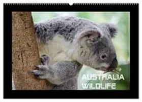 CALVENDO / by Wolfgang Schömig |  Australia Wildlife (Wandkalender 2027 DIN A2 quer), CALVENDO Monatskalender | Sonstiges |  Sack Fachmedien