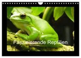 CALVENDO / Herkenrath |  Faszinierende Reptilien (Wandkalender 2027 DIN A4 quer), CALVENDO Monatskalender | Sonstiges |  Sack Fachmedien