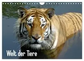CALVENDO / Riedel |  Welt der Tiere (Wandkalender 2027 DIN A4 quer), CALVENDO Monatskalender | Sonstiges |  Sack Fachmedien