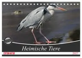 CALVENDO / SchnelleWelten |  Heimische Tiere (Tischkalender 2027 DIN A5 quer), CALVENDO Monatskalender | Sonstiges |  Sack Fachmedien