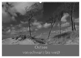 CALVENDO / Becker |  Ostsee - von schwarz bis weiß (Wandkalender 2027 DIN A2 quer), CALVENDO Monatskalender | Sonstiges |  Sack Fachmedien