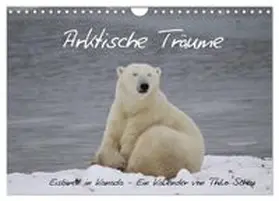 CALVENDO / Scheu |  Arktische Träume - Eisbären in Kanada (Wandkalender 2027 DIN A4 quer), CALVENDO Monatskalender | Sonstiges |  Sack Fachmedien