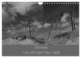 CALVENDO / Becker |  Ostsee - von schwarz bis weiß (Wandkalender 2027 DIN A4 quer), CALVENDO Monatskalender | Sonstiges |  Sack Fachmedien