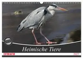 CALVENDO / SchnelleWelten |  Heimische Tiere (Wandkalender 2027 DIN A3 quer), CALVENDO Monatskalender | Sonstiges |  Sack Fachmedien