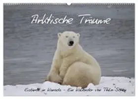 CALVENDO / Scheu |  Arktische Träume - Eisbären in Kanada (Wandkalender 2027 DIN A2 quer), CALVENDO Monatskalender | Sonstiges |  Sack Fachmedien